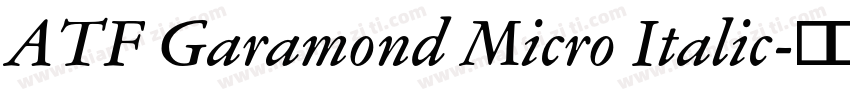 ATF Garamond Micro Italic字体转换